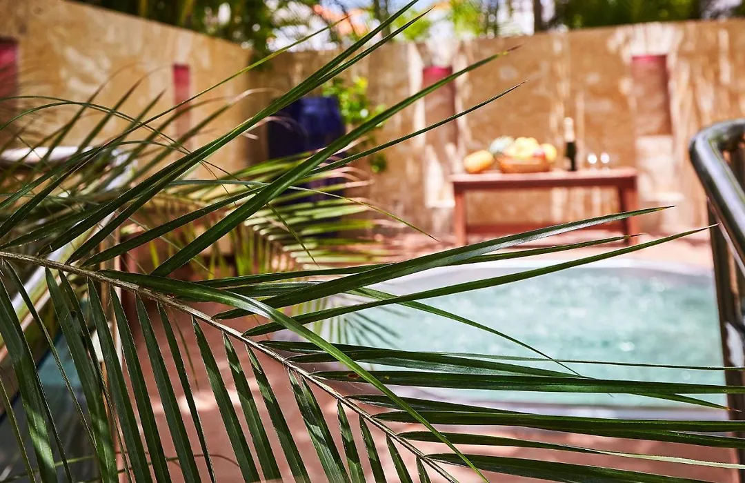 La Flor Del Caribe Beach & Spa-1
